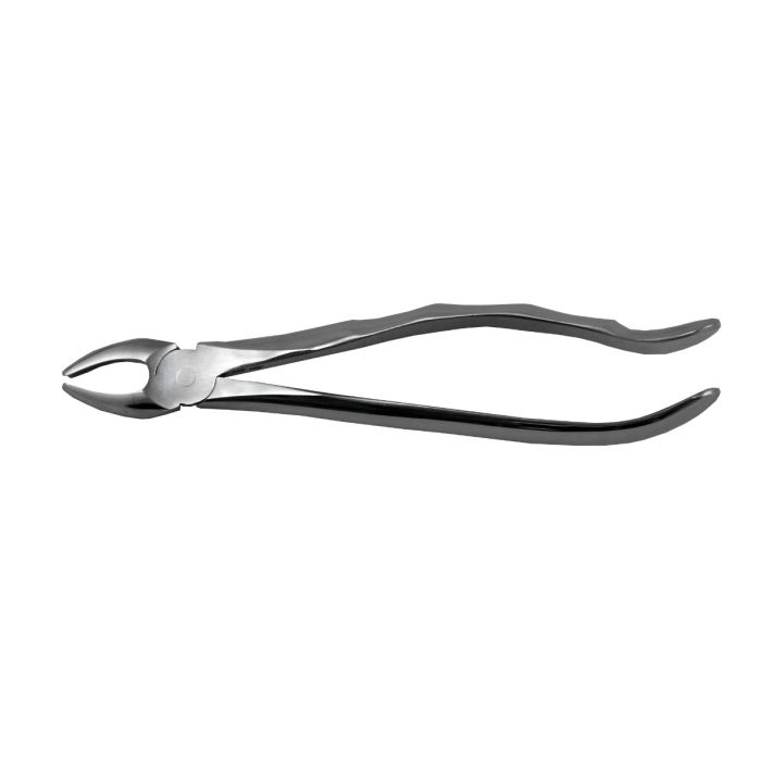 Cleste 18 - Molar superior stanga
