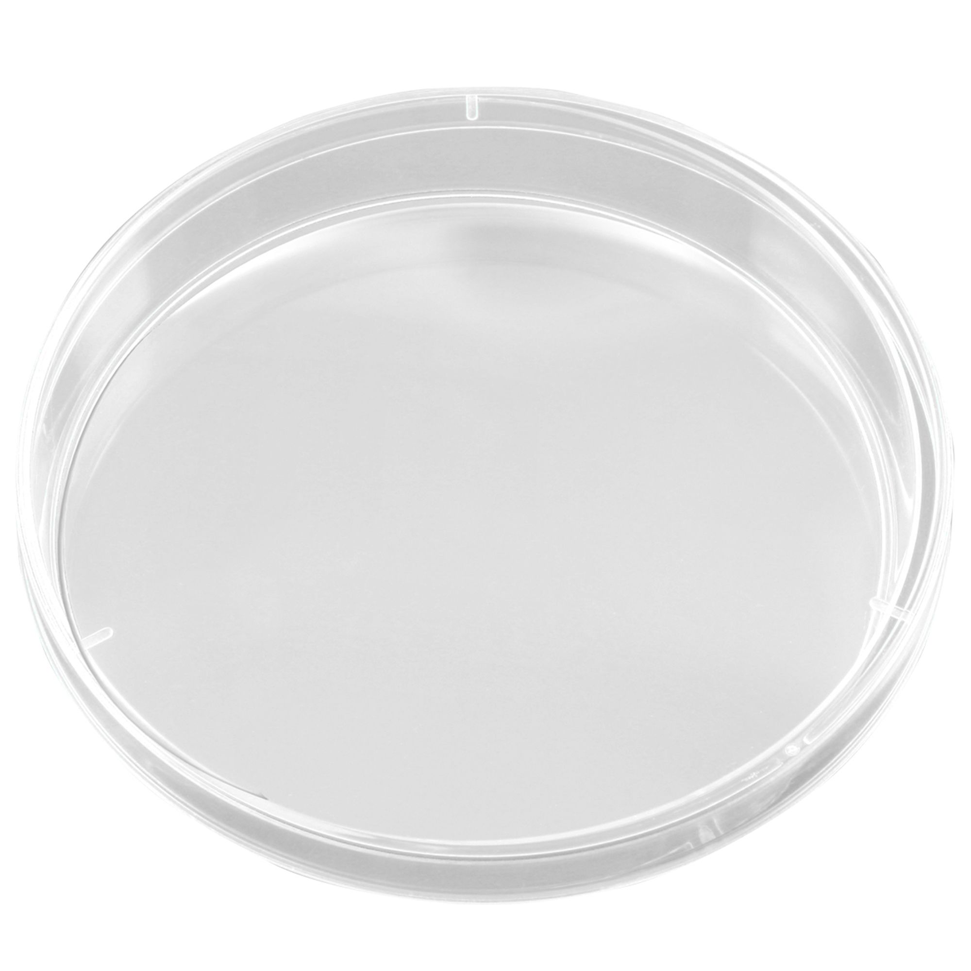 Cutii Petri cu 1 compartiment PRIMA - 10 bucati/set